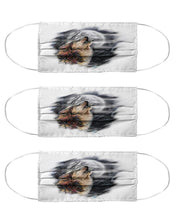 Load image into Gallery viewer, Moon wolf cool mask  HK16