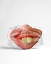 Load image into Gallery viewer, Funny Lips Buck Teeth Design Face pa06